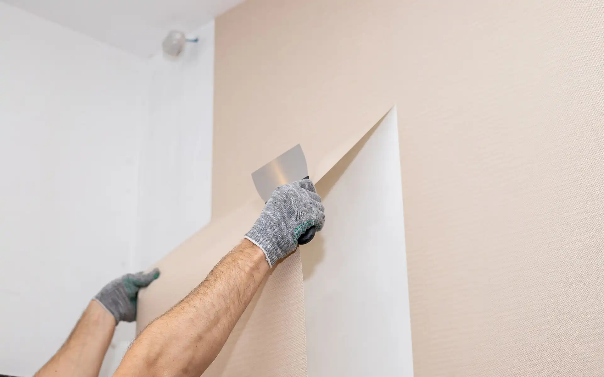 Wand wird frisch tapeziert
